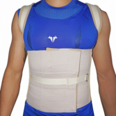 Soporte Dorso Lumbar